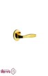 دستگیره-رزت-سوئیچی-آیلین-AYLIN-مدل-28000R---طلایی.jpg-thumbnail