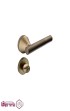 دستگیره-رزت-سوئیچی-کاوه-صنعت-مدل-36000---زیتونی.jpg-thumbnail