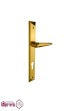 دستگیره-پلاک-سوئیچی-آیلین-AYLIN-مدل-9000---طلایی.jpg-thumbnail