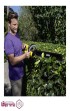 شمشاد-زن-شارژی-کارچر-KARCHER-کد-HGE-36-60-(5).jpg-thumbnail